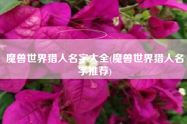 魔兽世界猎人名字大全(魔兽世界猎人名字推荐)