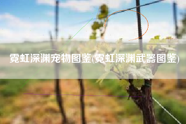 霓虹深渊宠物图鉴(霓虹深渊武器图鉴)