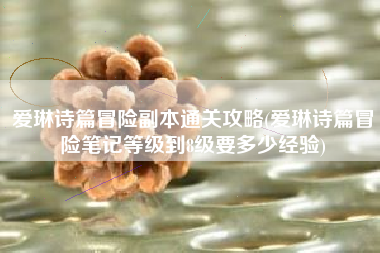 爱琳诗篇冒险副本通关攻略(爱琳诗篇冒险笔记等级到8级要多少经验)