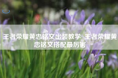 王者荣耀黄忠铭文出装教学_王者荣耀黄忠铭文搭配最厉害