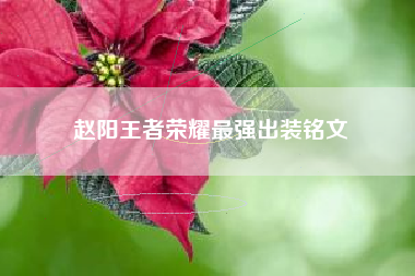 赵阳王者荣耀最强出装铭文