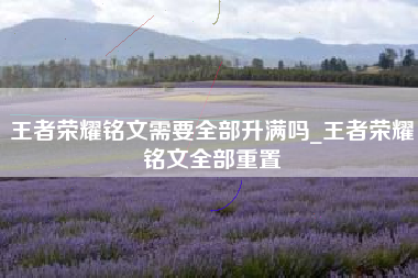 王者荣耀铭文需要全部升满吗_王者荣耀铭文全部重置