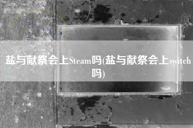 盐与献祭会上Steam吗(盐与献祭会上switch吗)
