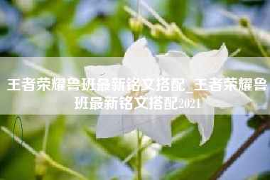 王者荣耀鲁班最新铭文搭配_王者荣耀鲁班最新铭文搭配2021