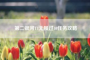 第二银河T1无损过40任务攻略