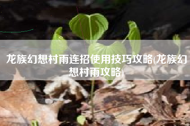 龙族幻想村雨连招使用技巧攻略(龙族幻想村雨攻略)