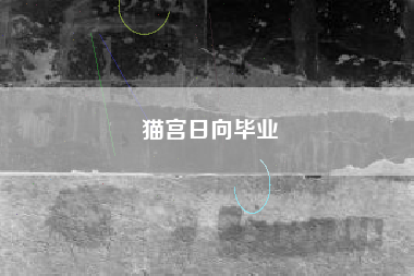 猫宫日向毕业