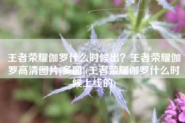 王者荣耀伽罗什么时候出？王者荣耀伽罗高清图片[多图](王者荣耀伽罗什么时候上线的)