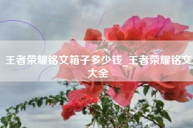 王者荣耀铭文箱子多少钱_王者荣耀铭文大全
