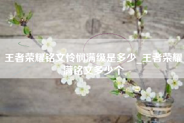 王者荣耀铭文怜悯满级是多少_王者荣耀满铭文多少个