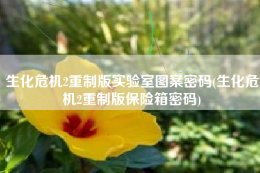 生化危机2重制版实验室图案密码(生化危机2重制版保险箱密码)