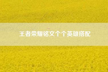 王者荣耀铭文个个英雄搭配