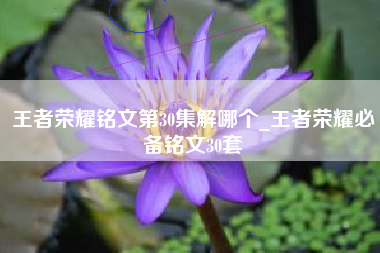 王者荣耀铭文第30集解哪个_王者荣耀必备铭文30套