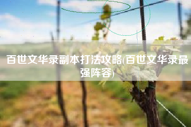 百世文华录副本打法攻略(百世文华录最强阵容)