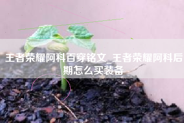 王者荣耀阿科百穿铭文_王者荣耀阿科后期怎么买装备