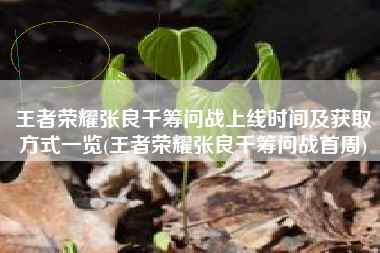 王者荣耀张良千筹问战上线时间及获取方式一览(王者荣耀张良千筹问战首周)