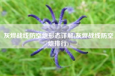 灰烬战线防空炮形态详解(灰烬战线防空炮排行)