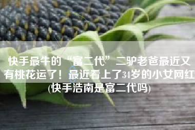 快手最牛的“富二代”二驴老爸最近又有桃花运了！最近看上了34岁的小女网红(快手浩南是富二代吗)