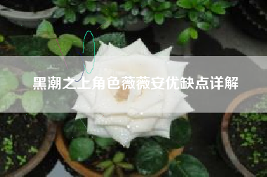 黑潮之上角色薇薇安优缺点详解