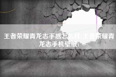 王者荣耀青龙志手感怎么样(王者荣耀青龙志手机壁纸)