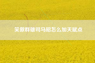 笑傲群雄司马昭怎么加天赋点