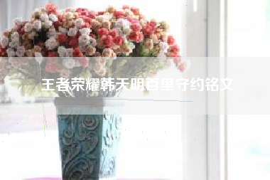 王者荣耀韩天明百里守约铭文