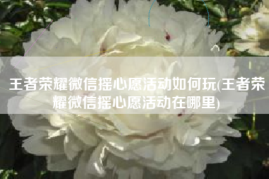 王者荣耀微信摇心愿活动如何玩(王者荣耀微信摇心愿活动在哪里)