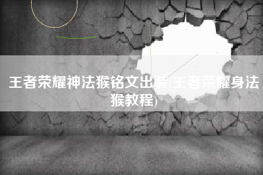 王者荣耀神法猴铭文出装(王者荣耀身法猴教程)