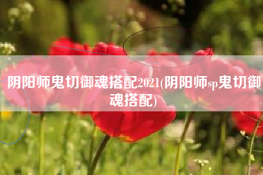 阴阳师鬼切御魂搭配2021(阴阳师sp鬼切御魂搭配)