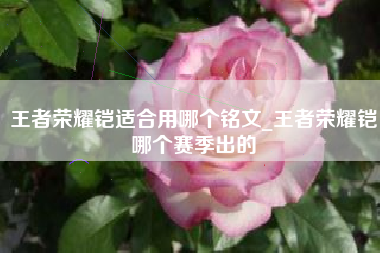 王者荣耀铠适合用哪个铭文_王者荣耀铠哪个赛季出的