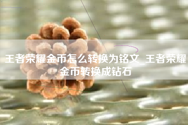 王者荣耀金币怎么转换为铭文_王者荣耀金币转换成钻石