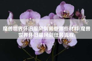 魔兽世界怀旧服风剑需要哪些材料(魔兽世界怀旧服风剑任务流程)