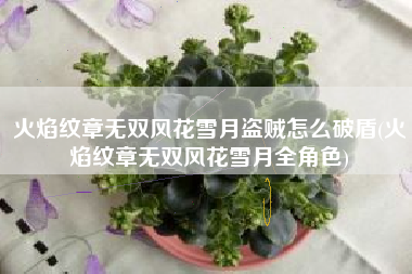 火焰纹章无双风花雪月盗贼怎么破盾(火焰纹章无双风花雪月全角色)