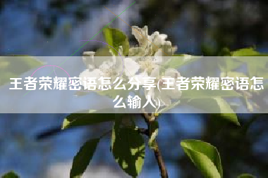 王者荣耀密语怎么分享(王者荣耀密语怎么输入)