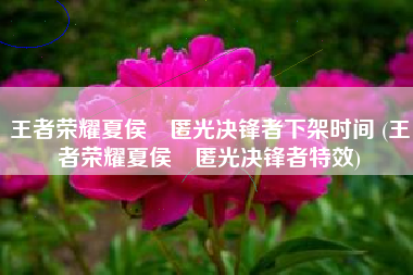 王者荣耀夏侯惇匿光决锋者下架时间 (王者荣耀夏侯惇匿光决锋者特效)