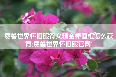 魔兽世界怀旧服符文精金棒图纸怎么获得(魔兽世界怀旧服官网)