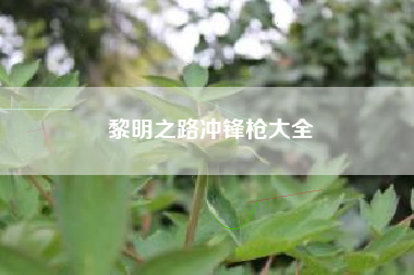 黎明之路冲锋枪大全