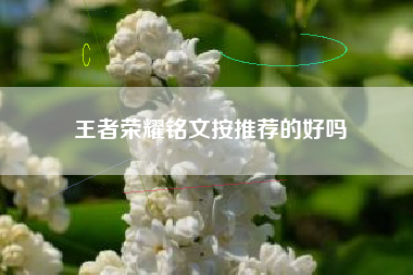 王者荣耀铭文按推荐的好吗