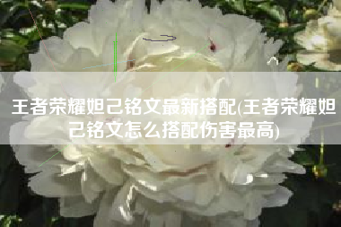 王者荣耀妲己铭文最新搭配(王者荣耀妲己铭文怎么搭配伤害最高)