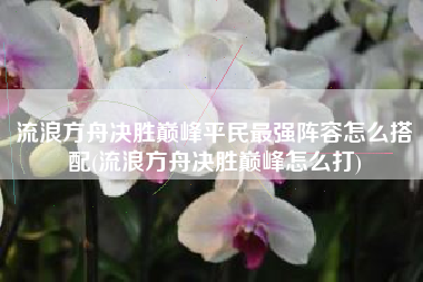 流浪方舟决胜巅峰平民最强阵容怎么搭配(流浪方舟决胜巅峰怎么打)