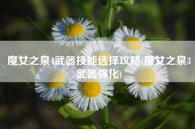 魔女之泉4武器技能选择攻略(魔女之泉3武器强化)
