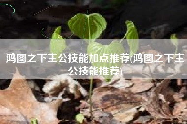 鸿图之下主公技能加点推荐(鸿图之下主公技能推荐)