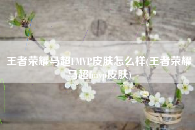 王者荣耀马超FMVP皮肤怎么样(王者荣耀马超fmvp皮肤)