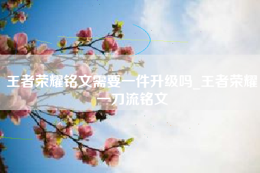 王者荣耀铭文需要一件升级吗_王者荣耀一刀流铭文