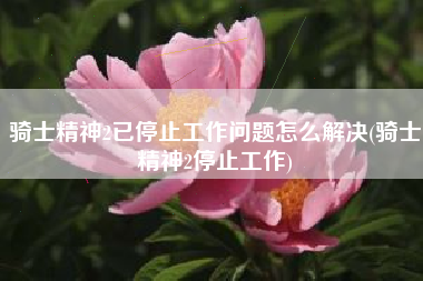 骑士精神2已停止工作问题怎么解决(骑士精神2停止工作)