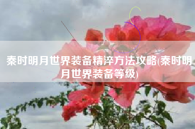 秦时明月世界装备精淬方法攻略(秦时明月世界装备等级)