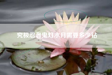究极忍者鬼灯水月需要多少钻