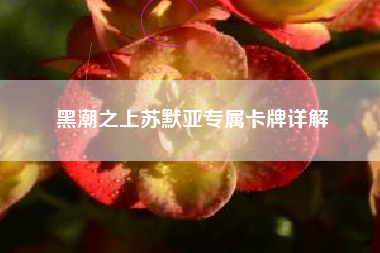 黑潮之上苏默亚专属卡牌详解