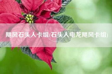 飓风石头人卡组(石头人电龙飓风卡组)