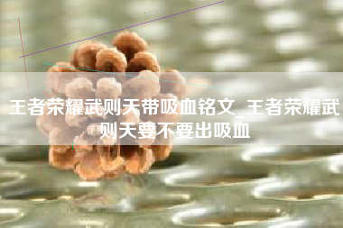 王者荣耀武则天带吸血铭文_王者荣耀武则天要不要出吸血
